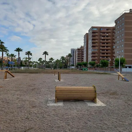 Daire Practico En El Centro De Marina D'or