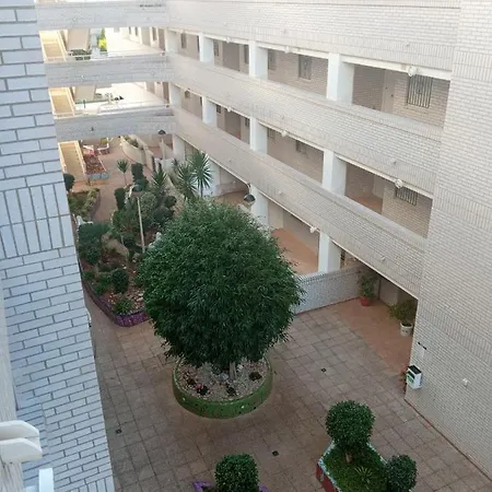 Practico En El Centro De Marina D'or